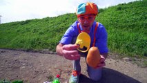 Potato HFarm _ Videos for Toddlers _ Blippi Toys