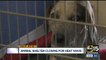 Arizona Animal Welfare League shutting down shelter due to heat