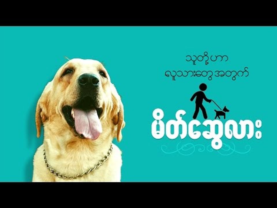 Could the dogs be friend for us? HD
