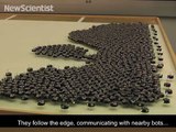 304.Swarm of 1024 robots forms shapes on its own