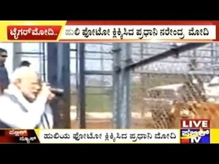 PM Narendra Modi Photographs Tiger In Raipur Jungle Safari