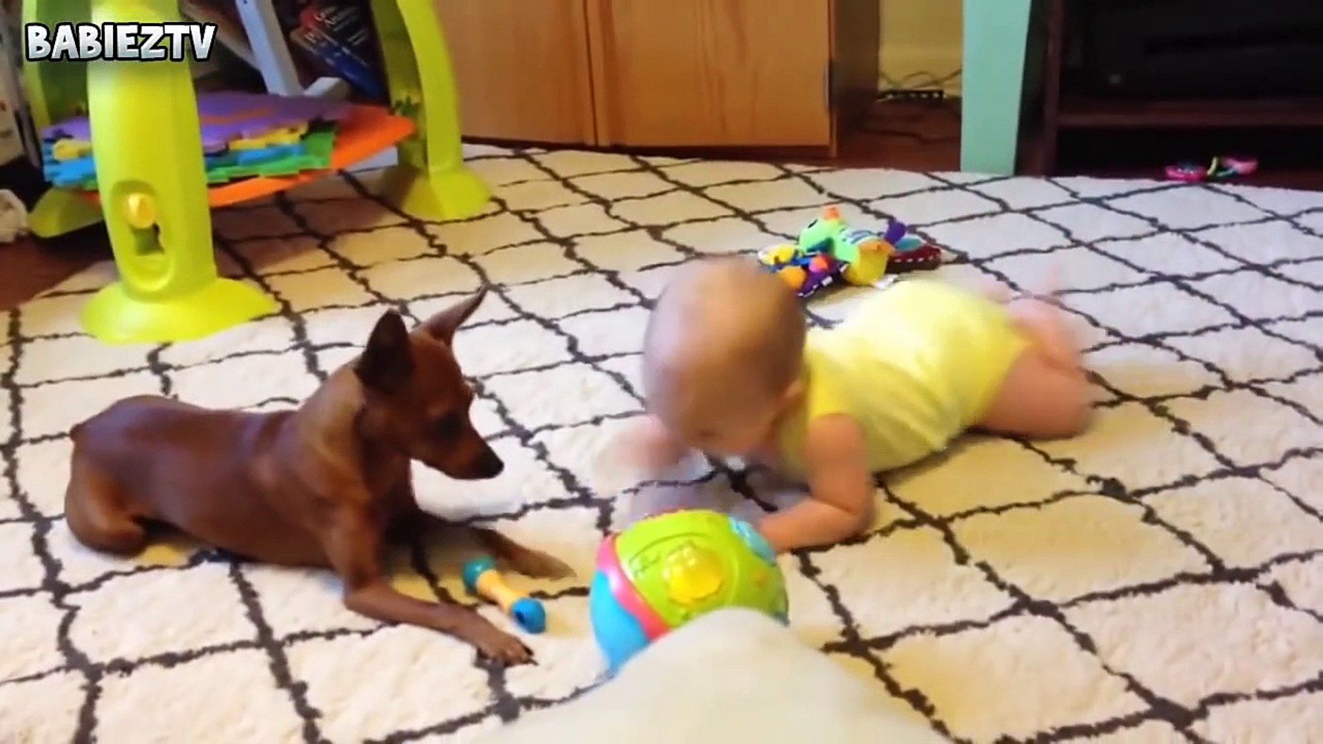 Cute Dogs and Babies Crawling Together - Adorable babies Compilation-