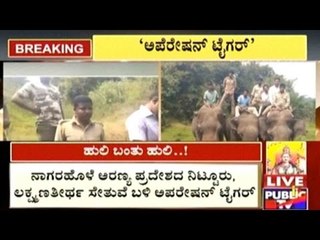 Operation Tiger: 25 Forest Guards & 15 RAF Behind One Tiger