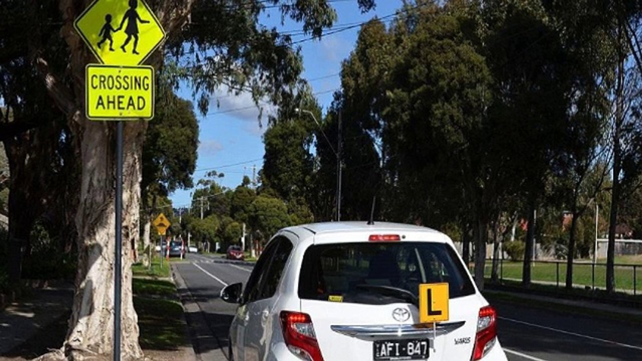 Driving Schools