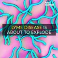 60.Lyme disease is about to explode