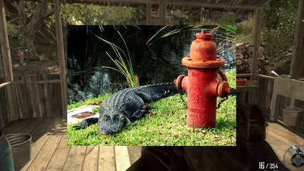 10 Craziest Laws From Around The World