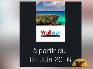 Bientot sur walfnet.com!!! Ne le ratez surtout pas...