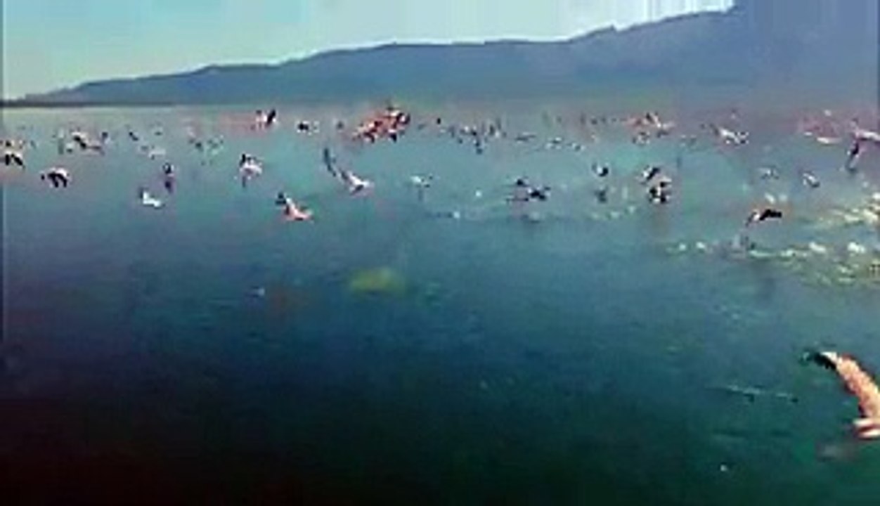 الصلاة على النبي محمد عليه الصلاة والسلام