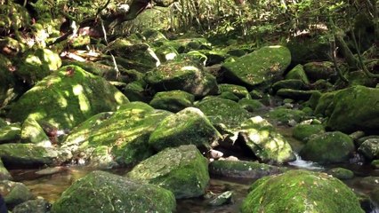 木原秀樹の訪れたい名作の舞台～ジブリ～ (2)