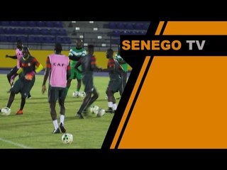 Senego TV Entrainement des Lions