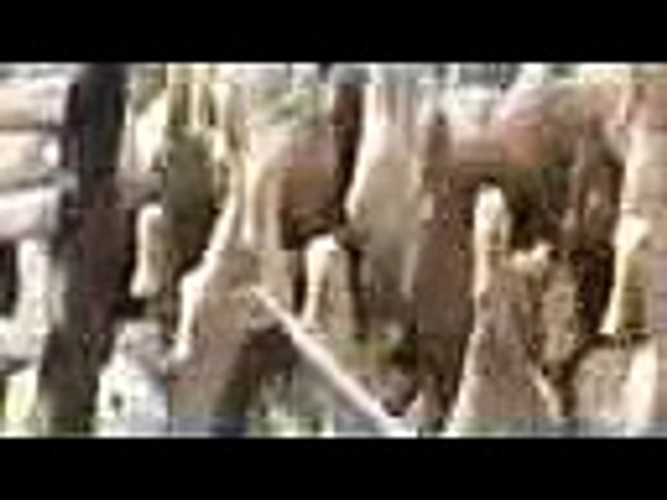 du lich (2).mpeg4.aac_clip44
