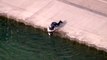 Un policier de Chicago sauve un chien tombé à l'eau alors qu'il voulait boire dans le lac Michigan