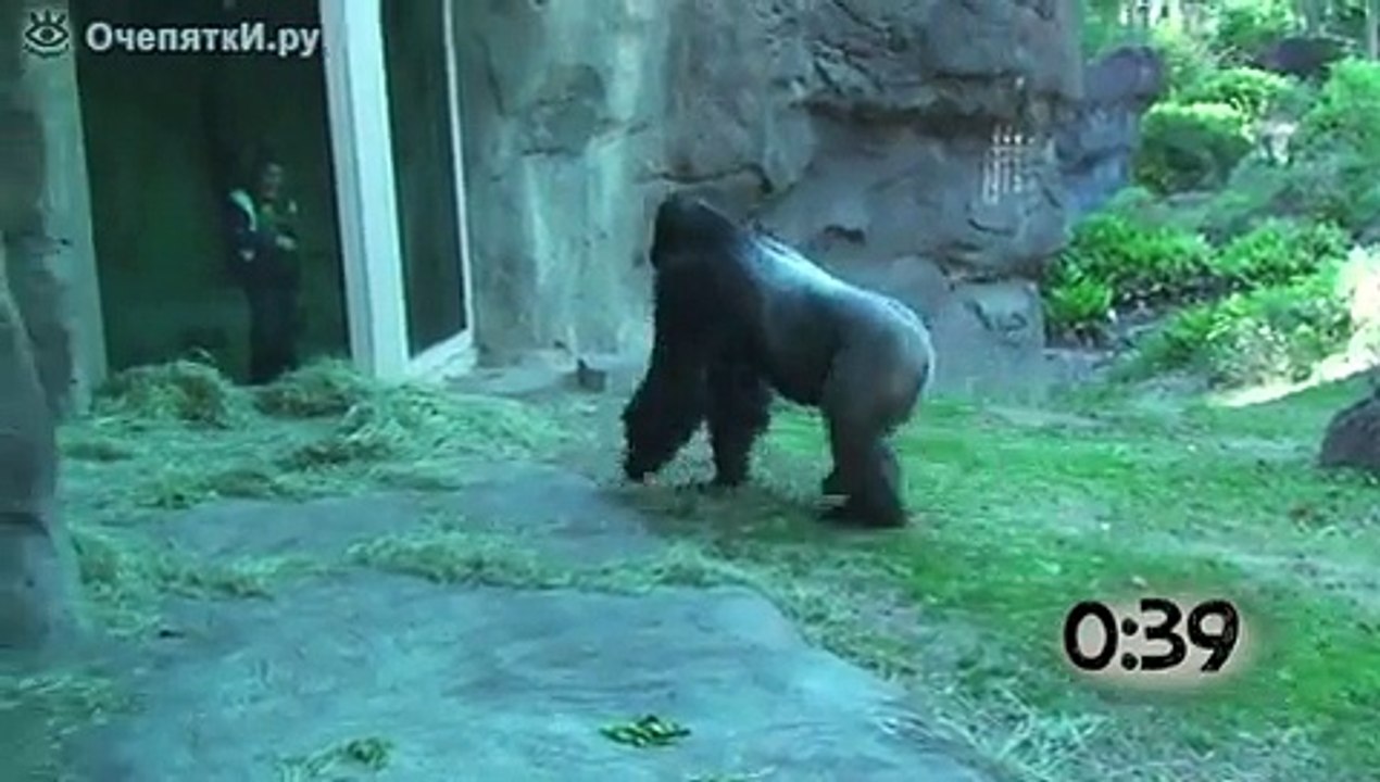 Funny Videos By Tipu Dj-6