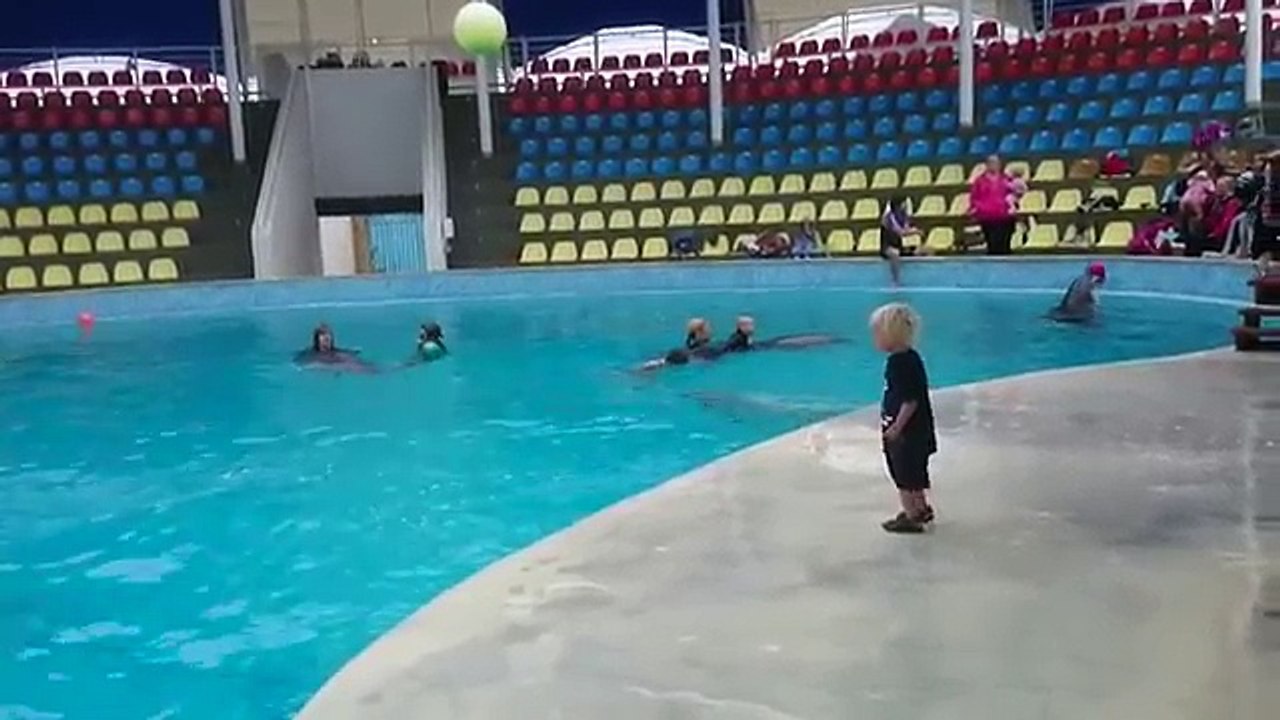 Un enfant joue au ballon avec un dauphin !
