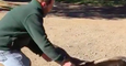 Video of Man Petting a Condor Goes Viral for Wrong Reason