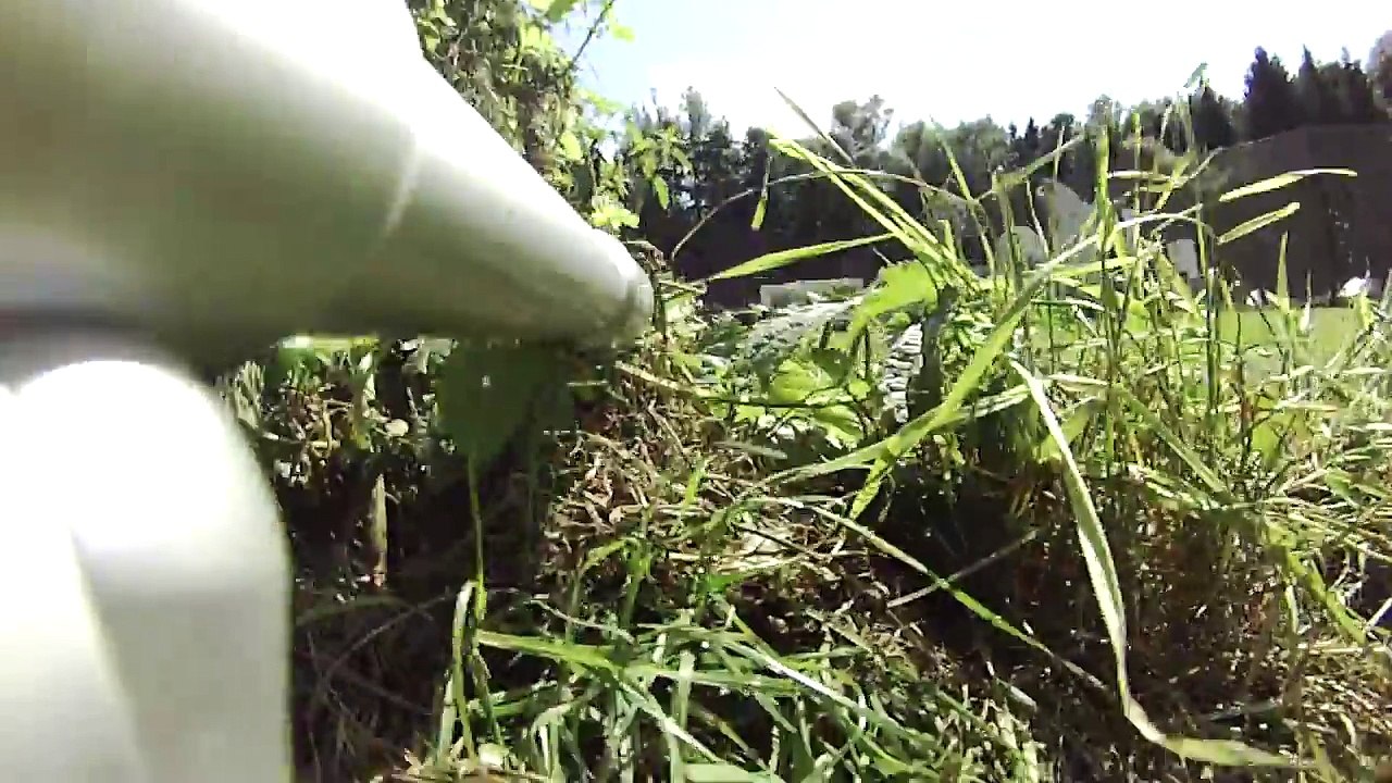 Paintball with Friends