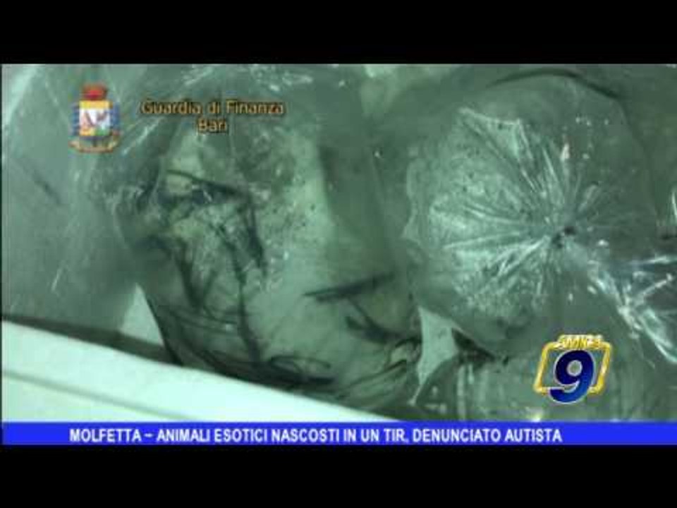 Molfetta |  Animali esotici nascosti in un tir: denunciato autista