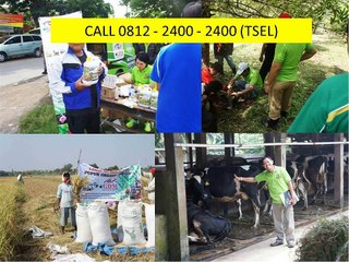 CALL 0812 - 2400 - 2400 (TSEL), Obat Tembakau