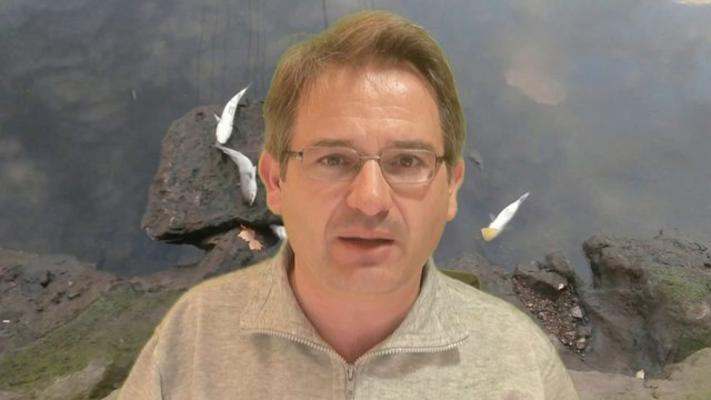 Ecologistas denuncian un nuevo vertido en la ría de Avilés con decenas de peces muertos