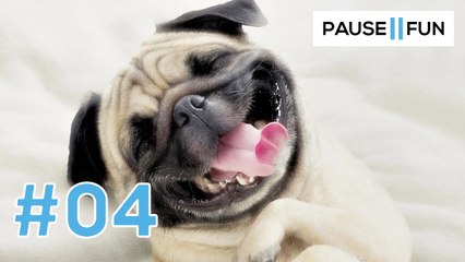 LES MEILLEURES VIDEOS FUN DE LA SEMAINE #04 - 12/06/2017-16/06/2017
