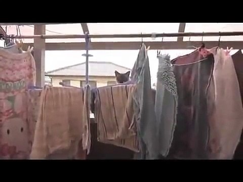 Kitty Corliss - Grinding the Crack