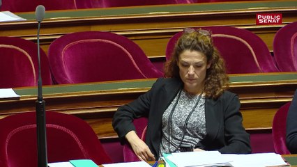 Laurence Rossignol critique ceux qui s'opposent au délit d'entrave à l'IVG sur internet au nom de la liberté d'expression.