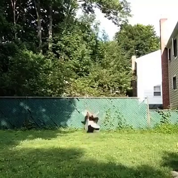 comedy video