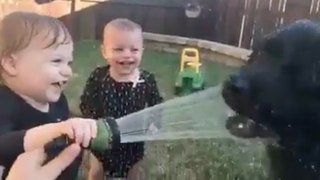 Two Cute Babies Laugh While Spraying Their Dog with Water