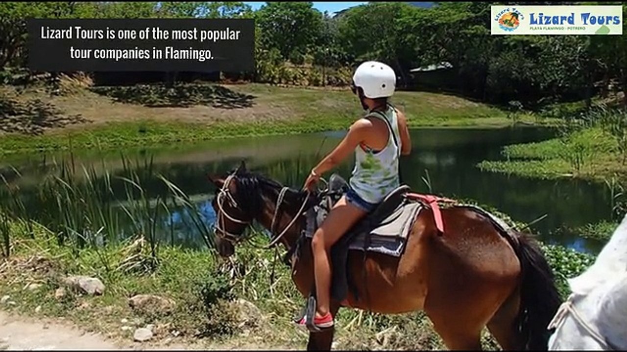 Best snorkel tours in Costa Rica - Lizardtours.com