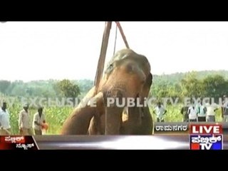 Authorities Fail To Shift Siddha, Treatment Continues In Same Location