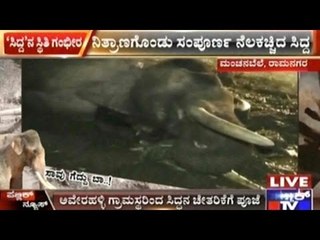 Ramanagar: Averahalli Villagers Pray For Siddha's Recovery