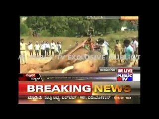 Siddha Unable To Eat Food Or Drink Water;  Cranes Try To Make Him Stand