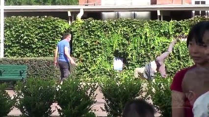 Old Man Dances In Public Prank!