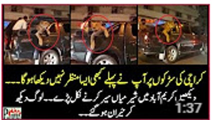 Lion on Karachi's streets Shakes Social Media of Pakistan
