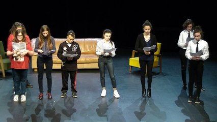 EVEM2017 : "Jan" par la cité scolaire Julie Daubié