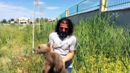 Tedavisi Tamamlanan Yavru Ayıya Birinci Sınıf Yolculuk