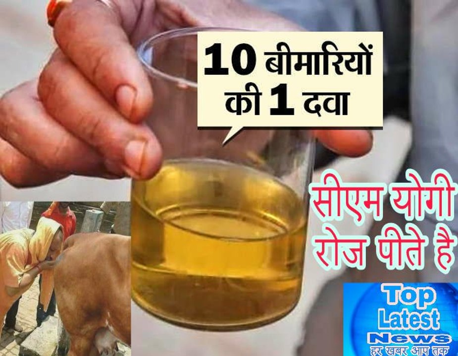 किडनी से लेकर हार्ट तक, 10 बीमारियों की दवा है सिर्फ 2 चम्मच | सीएम योगी रोज पीते है |