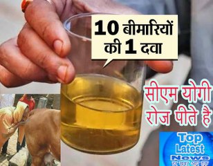 किडनी से लेकर हार्ट तक, 10 बीमारियों की दवा है सिर्फ 2 चम्मच | सीएम योगी रोज पीते है |