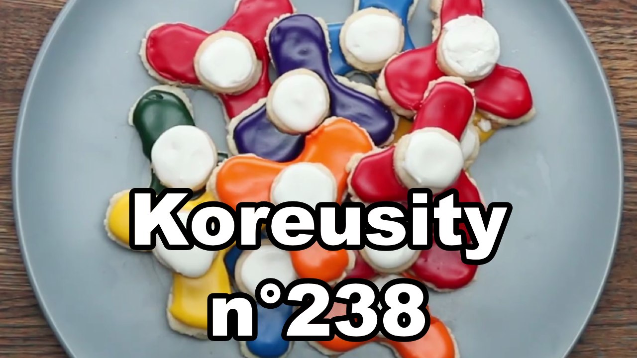 Koreusity n°238