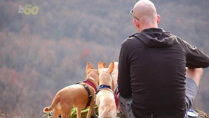 Put The Cookie Down! If You Like Having Hair