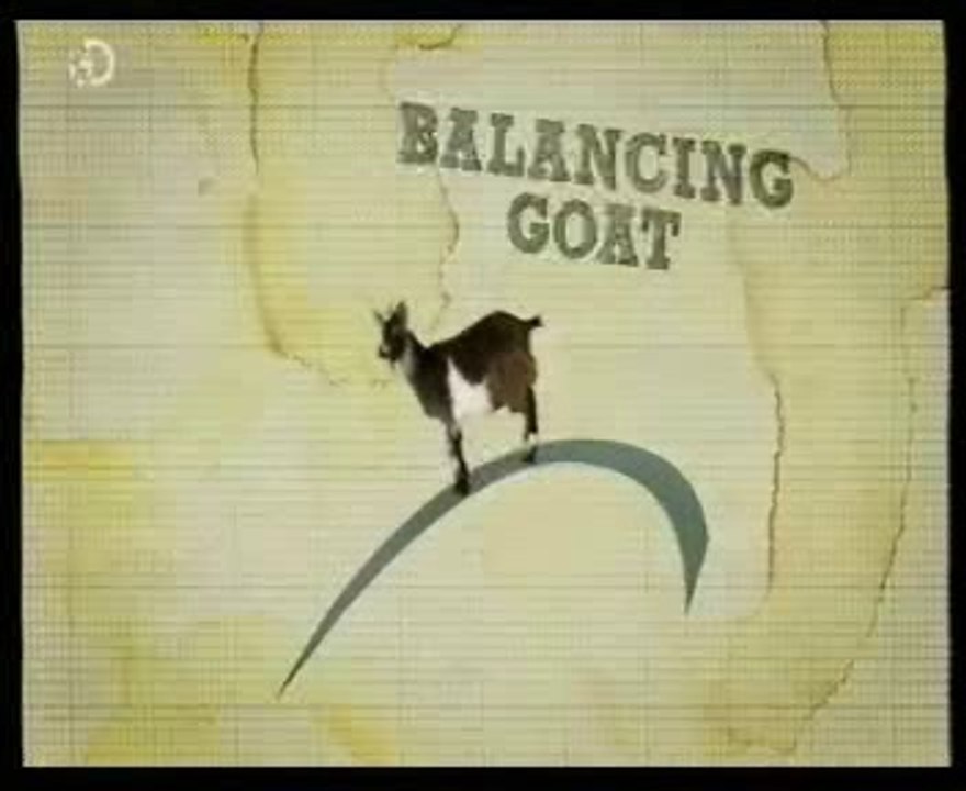 Equilibrio: Como una cabra