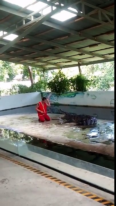 Crocodile Bites Back