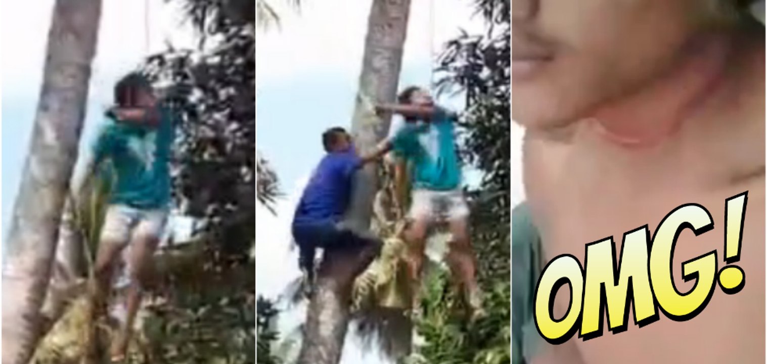 Cet homme s'est presque pendu à mort en cueillant des noix de coco