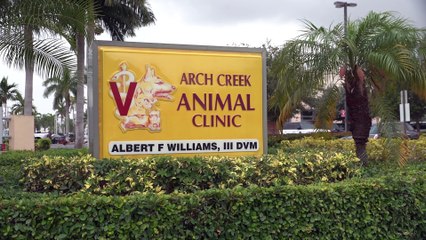 Welcome to Arch Creek Animal Clinic