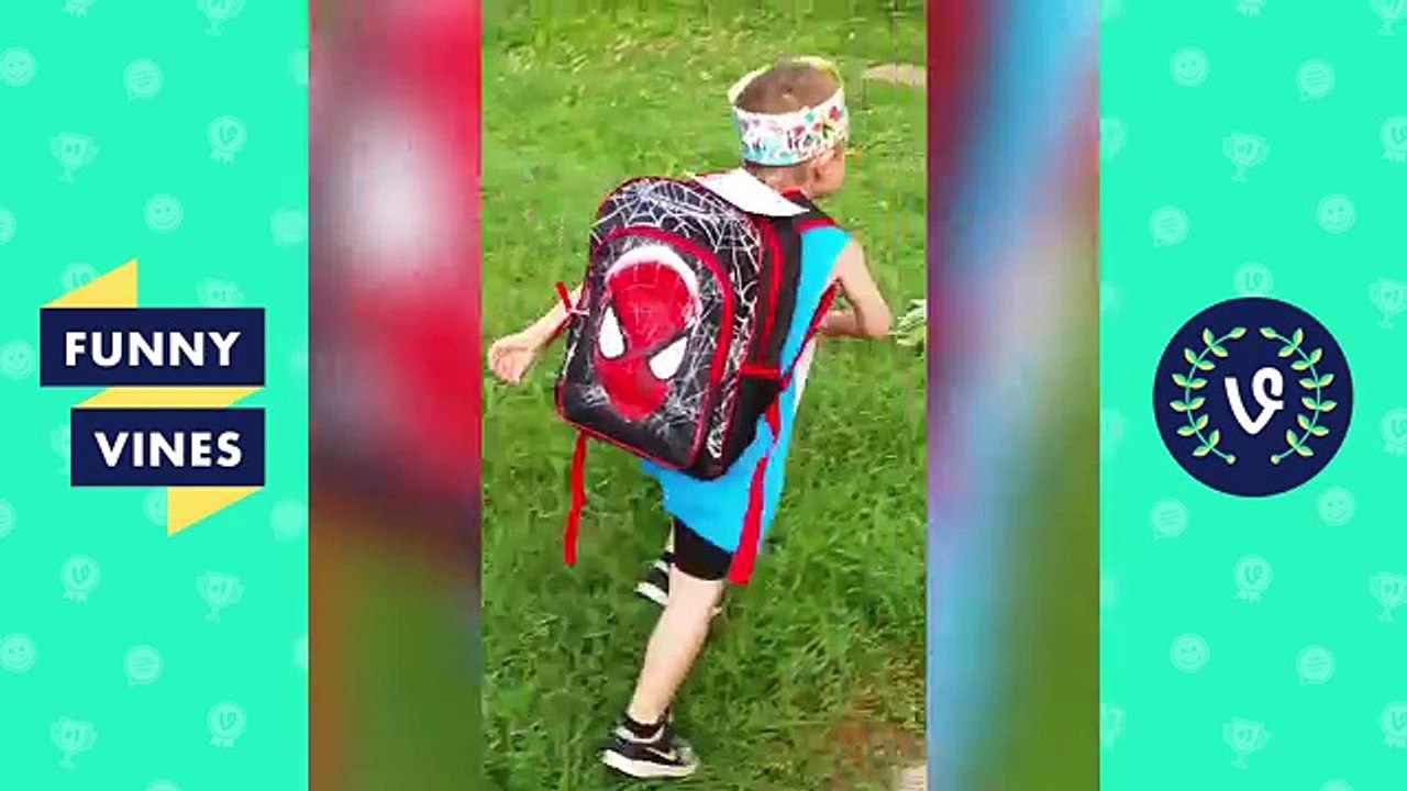 pagal ke olad han ye sub to