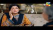 Dil e Jaanam Episode 16 Hum TV Drama 16 June 2017