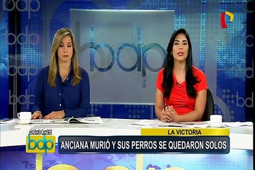 La Victoria: mascotas quedan desamparadas tras muerte de su dueña