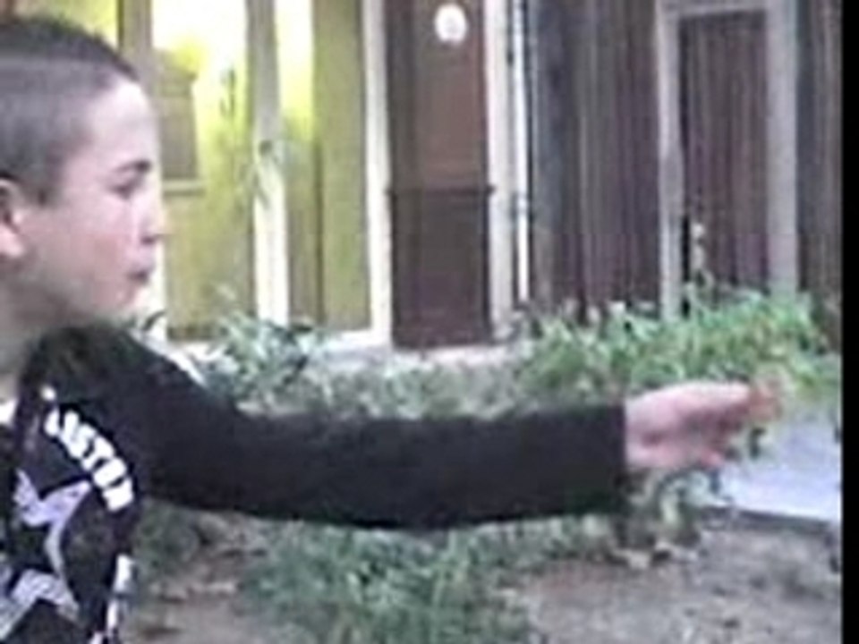 Nouvelle video (3)