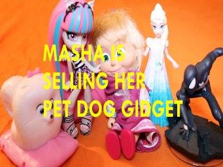 Toy MASHA & THE BEAR IS SELLING HER PET DOG GIDGET + ROCHELLE GOYLE ELSA SPIDERMAN DISNEY VIDEOS