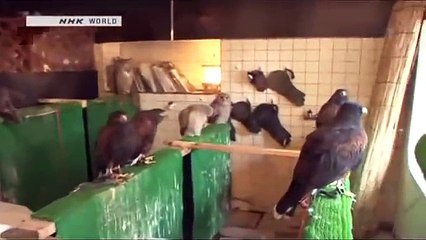 2013 07 24 TOKYO EYE Cool cafes